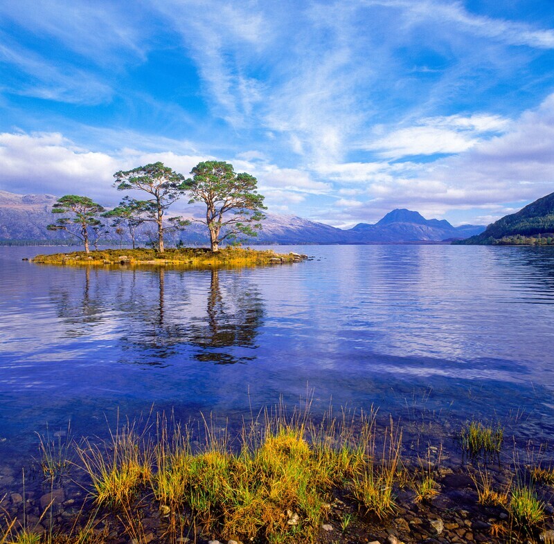 Slioch and Loch Maree, Wester Ross. - Scotland