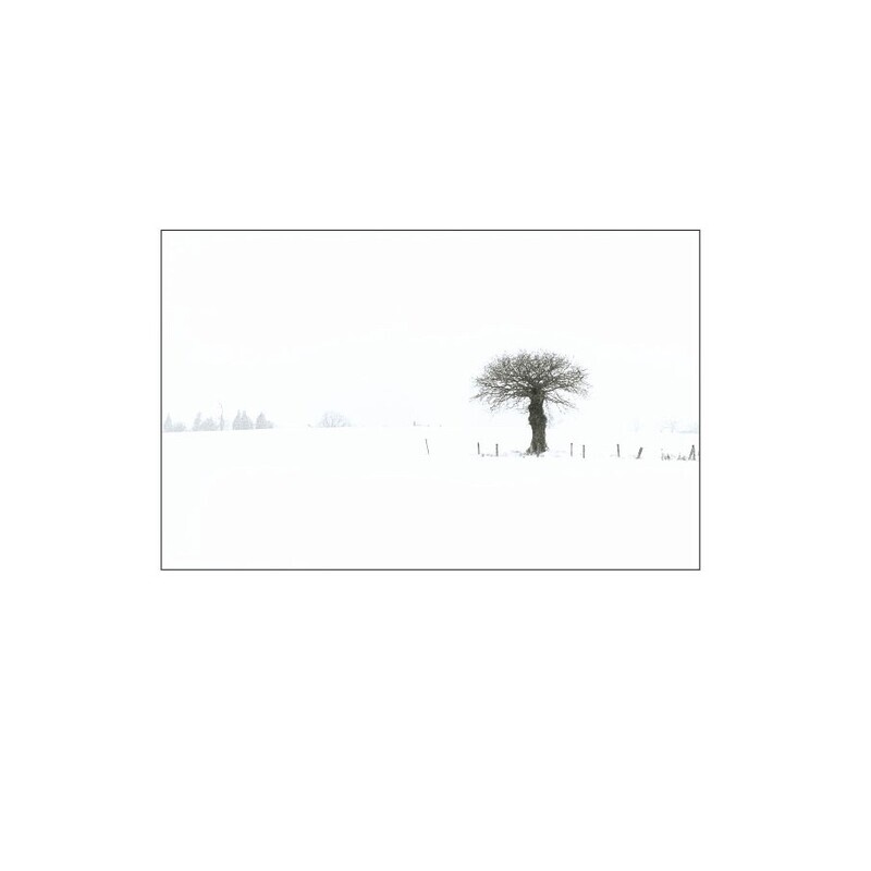 Winter Oak.  EDC 042 - England