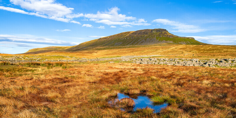 Pen y Gent, Yorkshire Dales. Not yet available as greeting card. - England