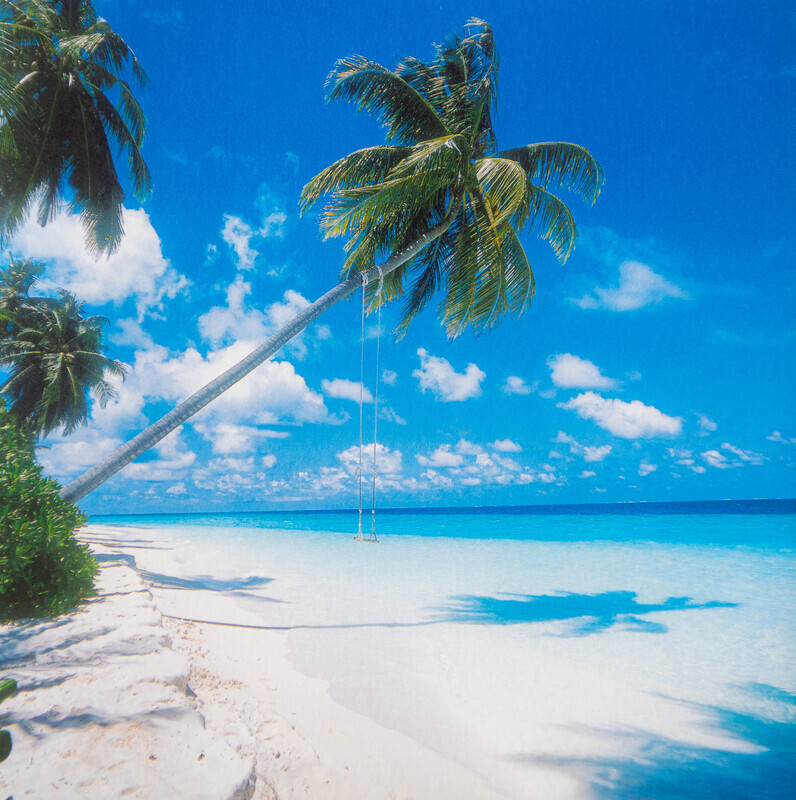 Maldive Swing. EDC004. - Greeting Cards from around the world.