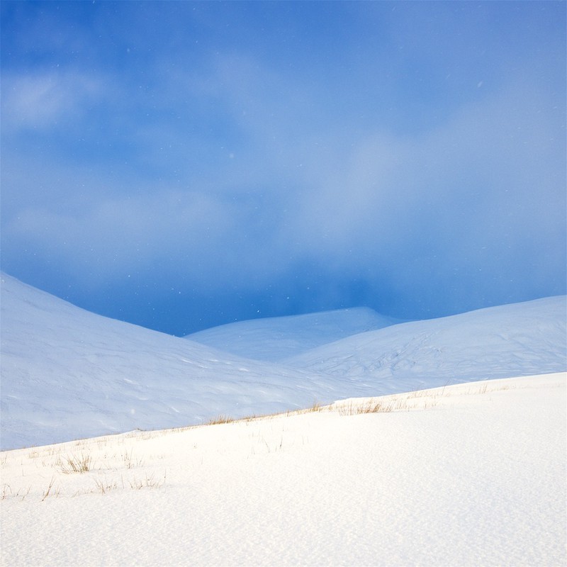 Snow shadows EDC287  Only available as greeting card. - Scotland