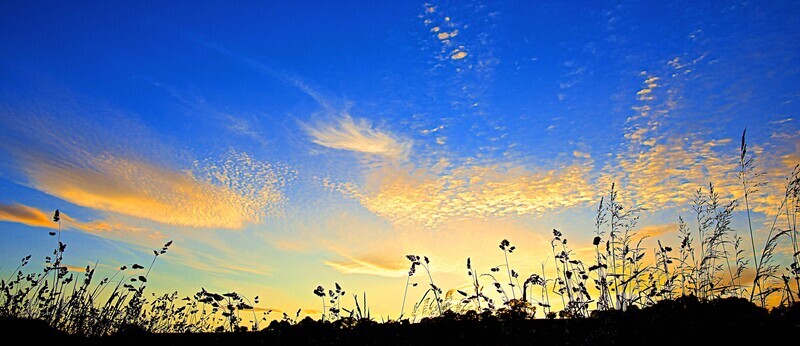 Meadow Sunset (2). - England