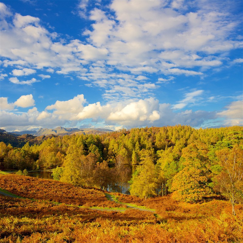 Tarn Howes and the Langdale Pikes, Lake district EDC256 - Lake District
