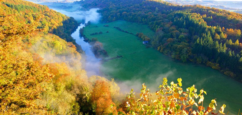 Symonds Yat, Forest of Dean, Wye Valley EDC253 - England