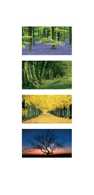 Seasons Photography
