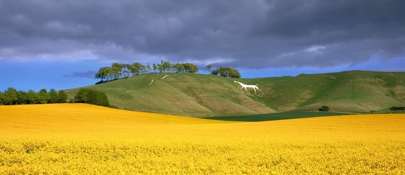 Cherhill Whitehorse, Wiltshire EDC036 - England
