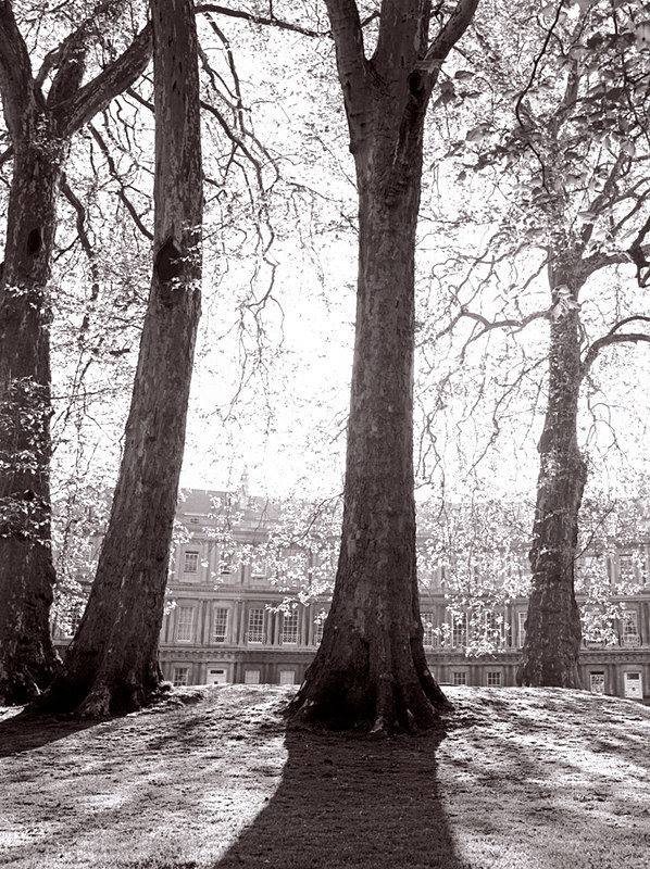 Spring in the Circus, Bath. EDC030. - Bath