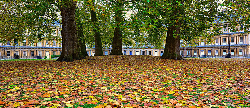 Autumn in the Circus, Bath EDC191 - Bath
