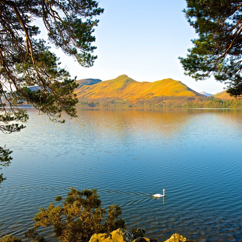Swan Lake, Derwentwater and Catbells. EDC203. - Lake District