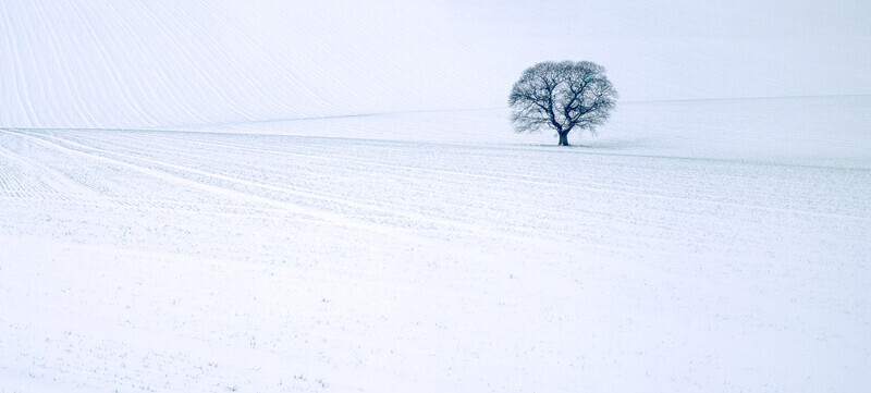 The Four Seasons - Winter. EDC058 - Woodland, Trees and the Four Seasons