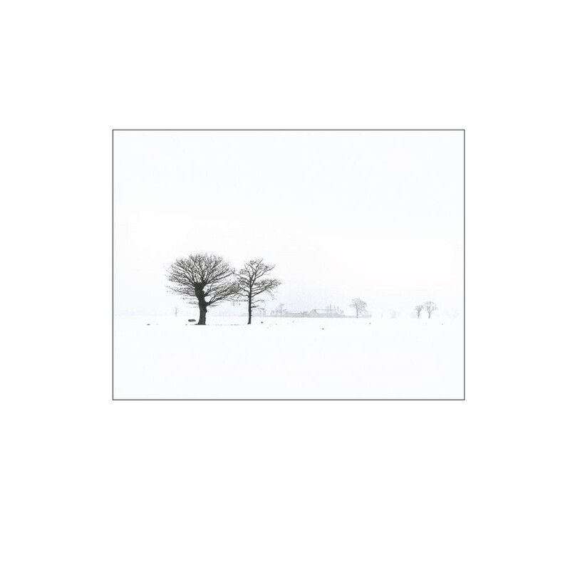 Winter Oaks.  EDC 43 - England