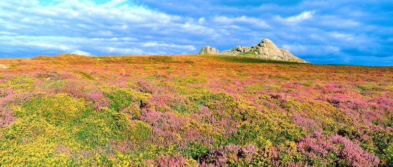 Hay Tor, Dartmoor, Devon EDC021 - England
