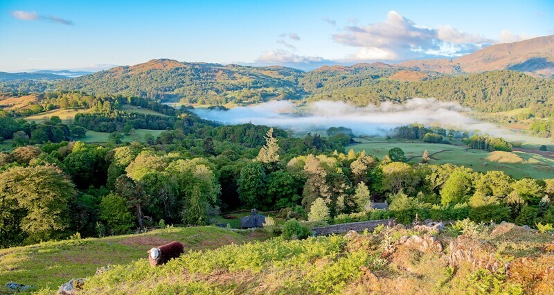 Early morning mists over Elter Water. - Lake District
