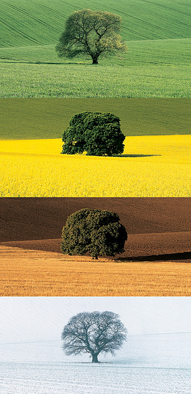 Four Seasons EDC074 - England