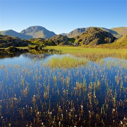 Great view,Great Gable from Innominate Tarn EDC274 - Lake District
