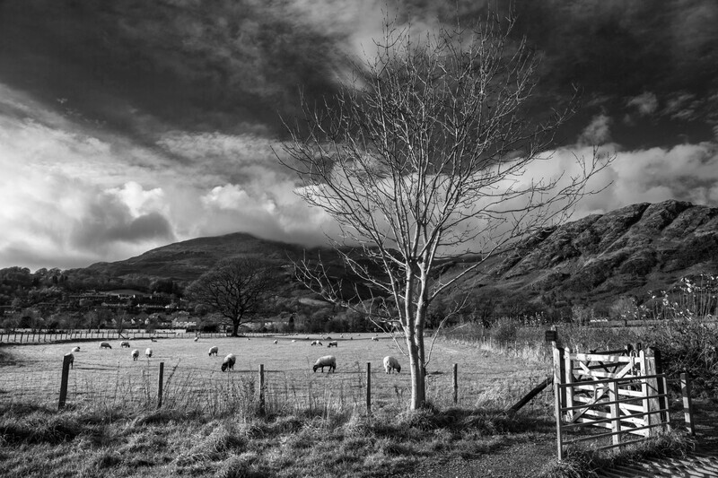 Looking towards the Old Man of Coniston - Black and white