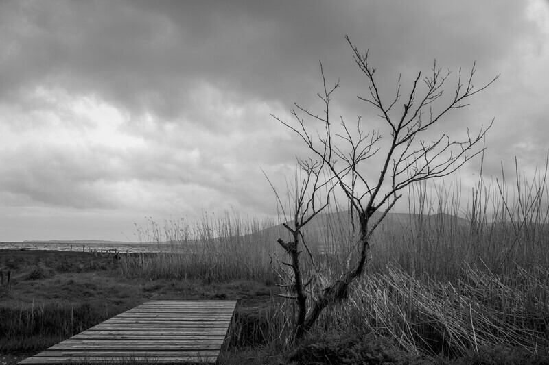 Looking towards criffel - Black and white