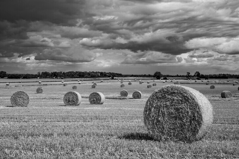 Storm clouds on the horizon - Black and white