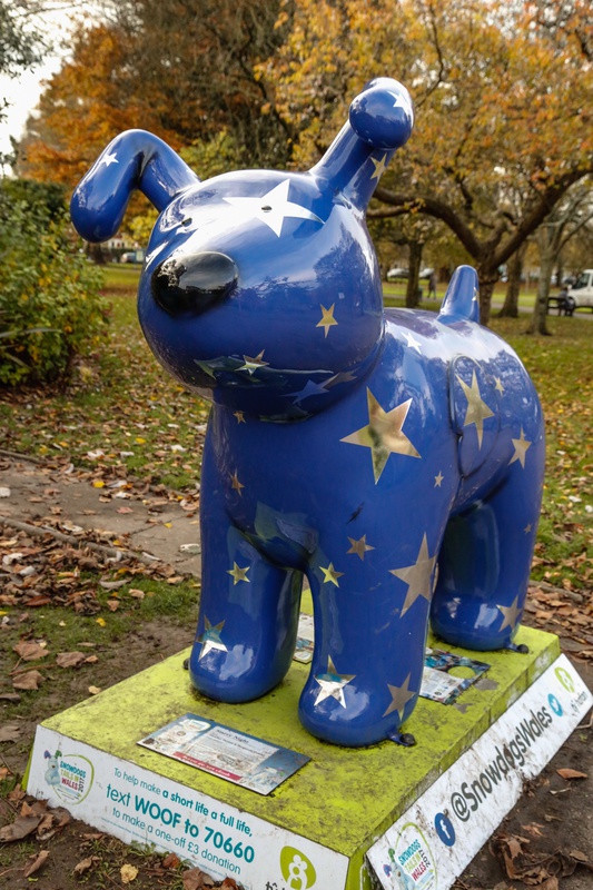 28. Starry Night, Victoria Park - Cardiff SnowDogs