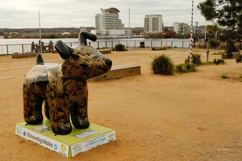 35. Honolulu, Porth Teigr - Cardiff SnowDogs