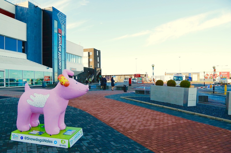 43. Happy Taffy, Cardiff Airport - Cardiff SnowDogs
