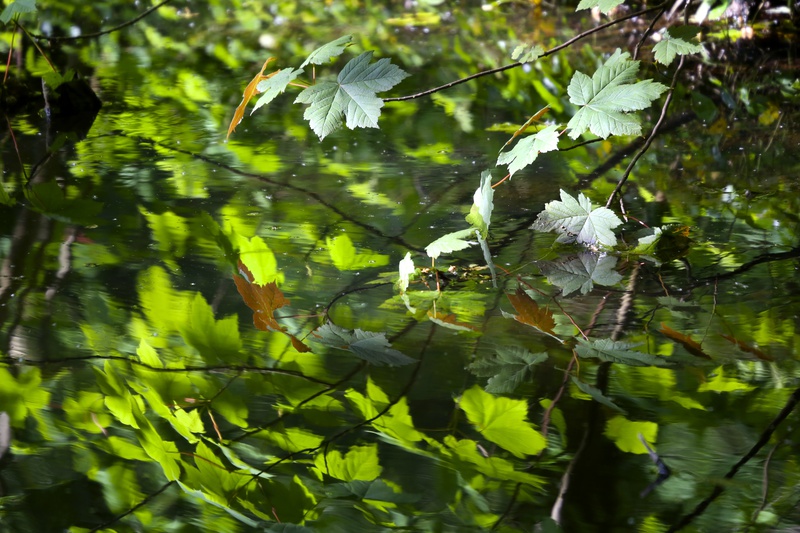 Reflection 1 - Urban Sanctuary
