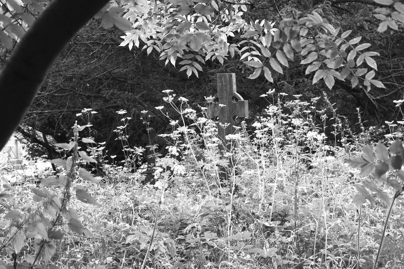 Hidden Cemetery 1 - Llandaff: City Within a City