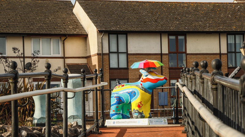 38. Life's A Beach, Penarth Marina - Cardiff SnowDogs