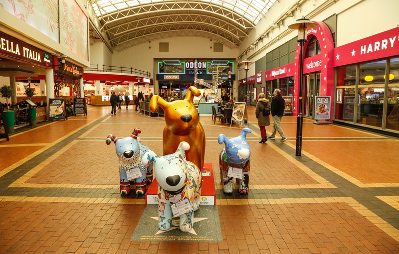 29. Oscar, The Red Dragon Centre - Cardiff SnowDogs