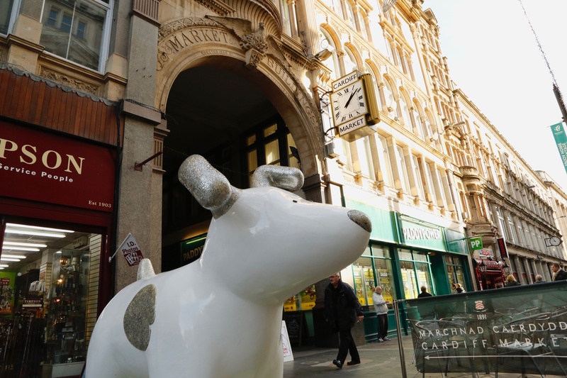 11. Sparky, Cardiff Market - Cardiff SnowDogs