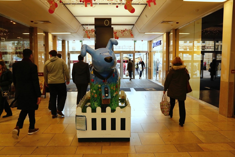 13. Summer Meadow, St David's Centre - Cardiff SnowDogs