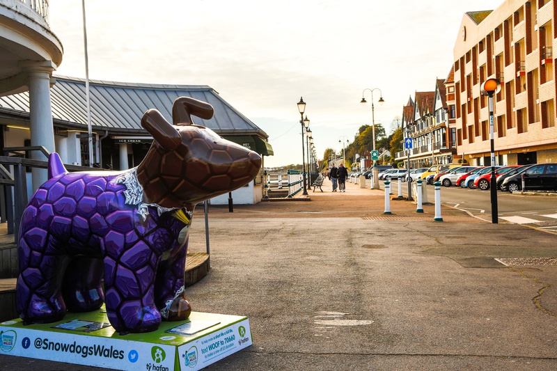 39. Chocolate Sundae, Penarth Pier - Cardiff SnowDogs