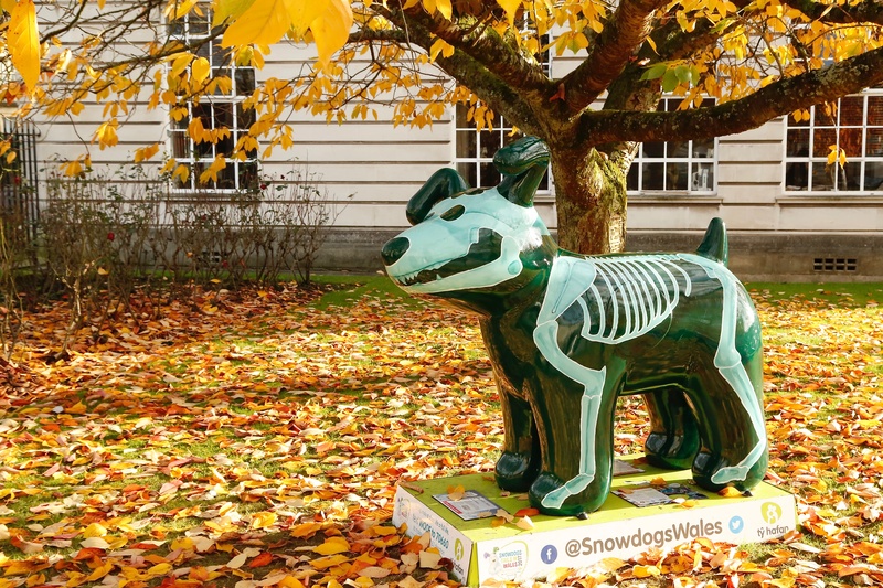 20. Dog With A Bone, Cardiff University - Cardiff SnowDogs