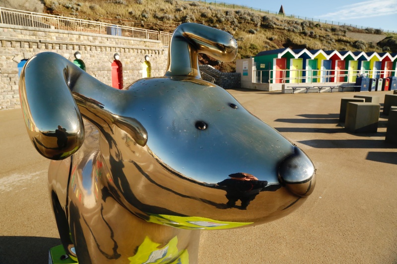 41. Gizmo, Barry Island Beach Huts - Cardiff SnowDogs