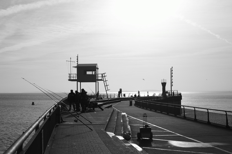 Enjoying the Morning Sun - Bay and Barrage