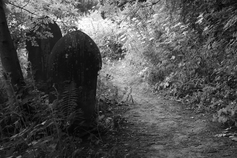 Hidden Cemetery 3 - Llandaff: City Within a City
