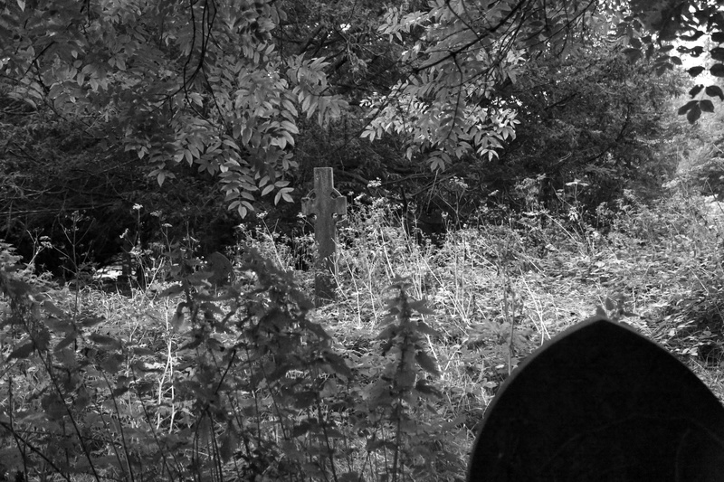 Hidden Cemetery 2 - Llandaff: City Within a City