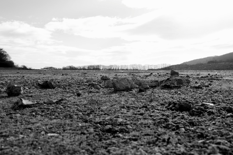 Desert - Unloved Cardiff