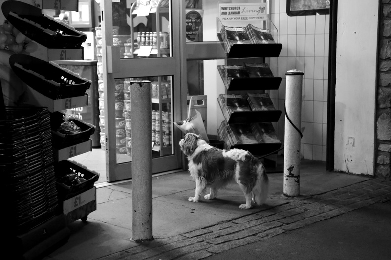 Anxious - Llandaff: City Within a City