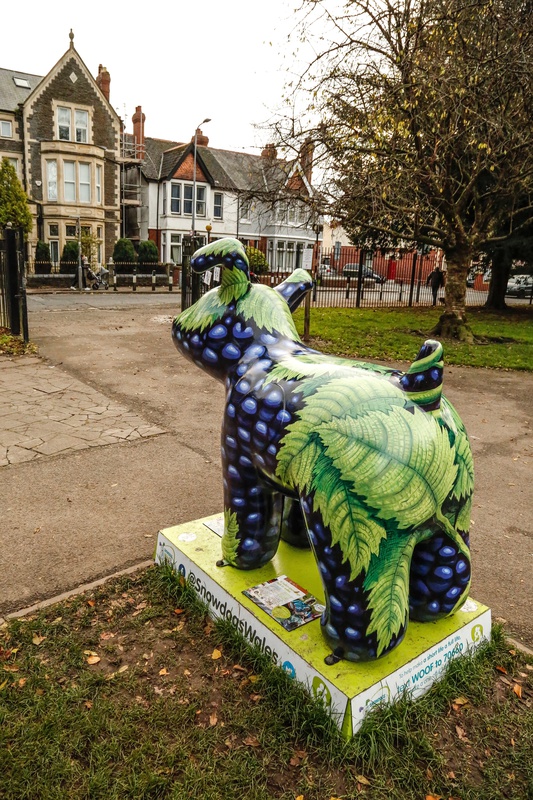 27. Blackberry, Thompson's Park - Cardiff SnowDogs