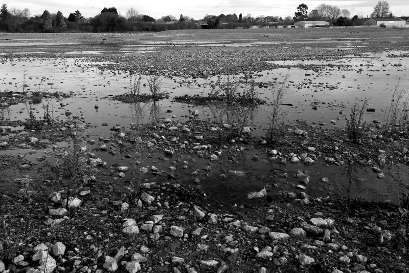 Weeds and Water - Unloved Cardiff