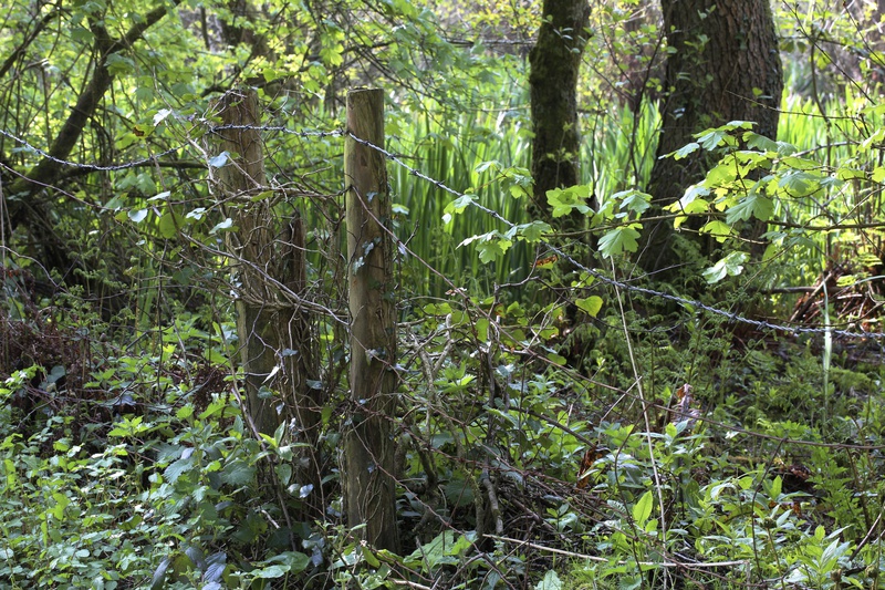 April - Fence Posts