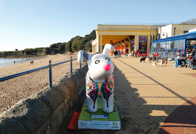 42. Butterfly Coat, Barry Island Promenade - Cardiff SnowDogs
