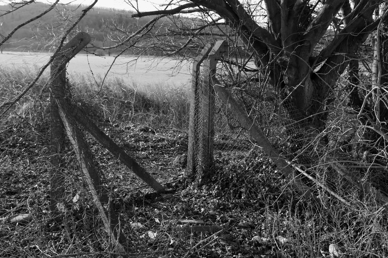 Breached - Unloved Cardiff