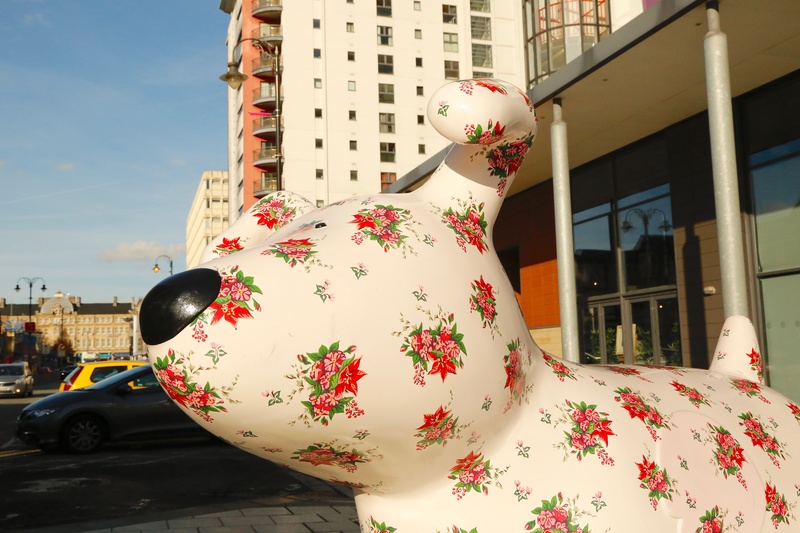 4. Rosy Posy, Churchill Way - Cardiff SnowDogs