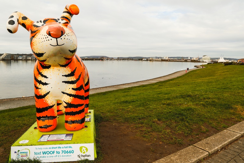37. That Snow Tiger, Cardiff Barrage - Cardiff SnowDogs