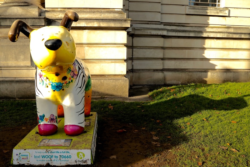 19. Me Is Who I Am, National Museum of Wales - Cardiff SnowDogs
