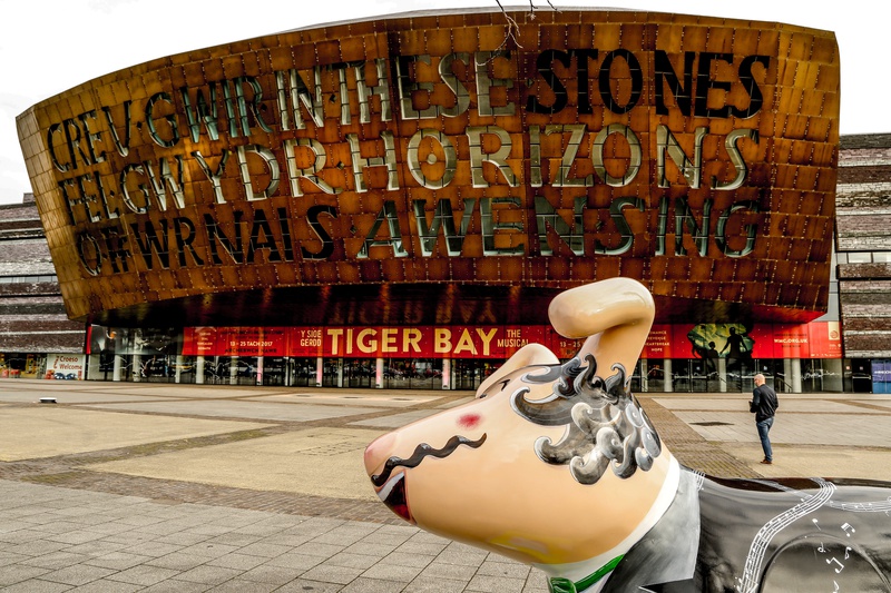 30. Baffi, Wales Millennium Centre - Cardiff SnowDogs