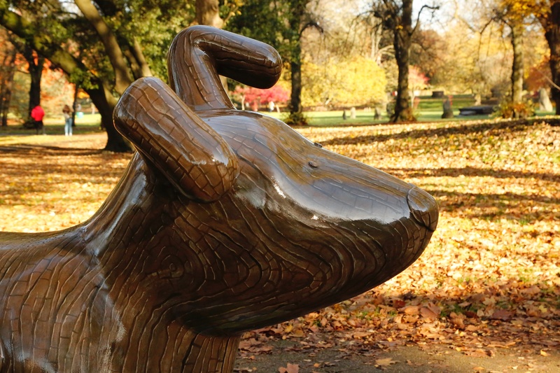 23. Maple, Bute Park - Cardiff SnowDogs
