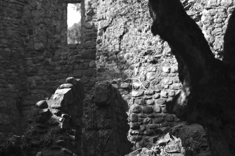 Walled Courtyard 2 - Llandaff: City Within a City